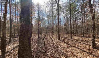 0 HIGHWAY 231 Tract A - 33+/- AC, Ashville, AL 35953