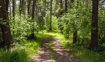 8615 Montana Hwy 35, Bigfork, MT 59911