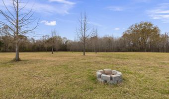 1144 Little Big Mound Rd, Bentonia, MS 39040