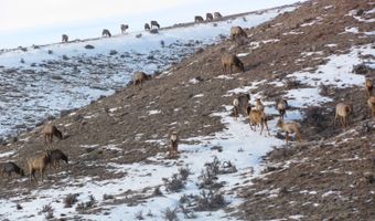 2335 Crowley-Riverside Rd, Arock, OR 97902