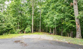 Wyldwood Road, Abingdon, VA 24211