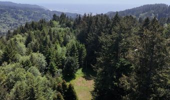 20452 Whaleshead Rd, Brookings, OR 97415
