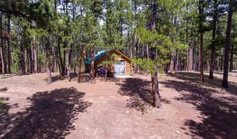 44 Ponderosa, Douglas, WY 82633