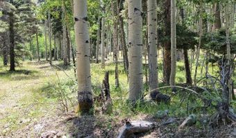 Lot 51 Via de Maria, Angel Fire, NM 87710