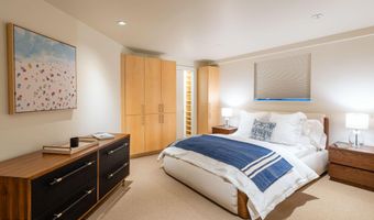 506 W Hallam St, Aspen, CO 81611