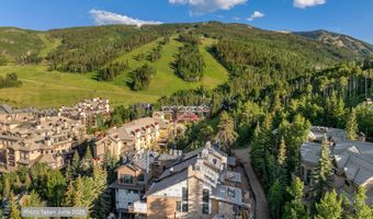 46 Red Spruce Ln 4, Beaver Creek, CO 81620
