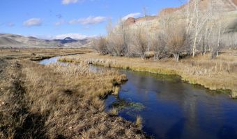 24950 Hwy. 93, Challis, ID 83226