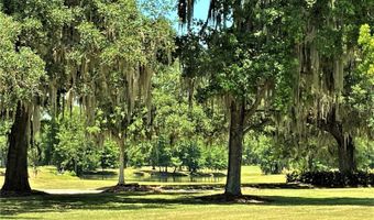 7203 NW 121 Ave, Alachua, FL 32615