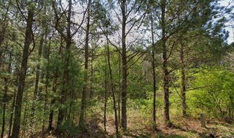 Collard Valley Road lot 1, Aragon, GA 30104