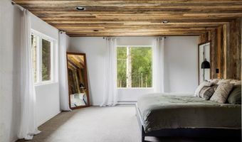133 GOLD RUN Rd, Alma, CO 80440