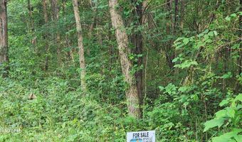 Shady Lane, Big Sandy, TN 38221