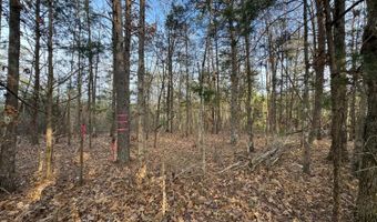 Watt Abbitt Road, Appomattox, VA 24522