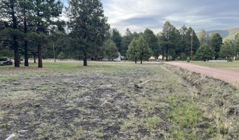 18 County Rd 2063, Alpine, AZ 85920