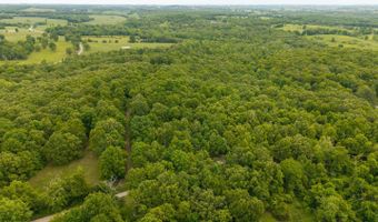 14782 County Road 7990, Bakersfield, MO 65609