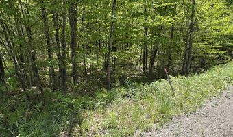 Bear Hill Road, Brookfield, VT 05036