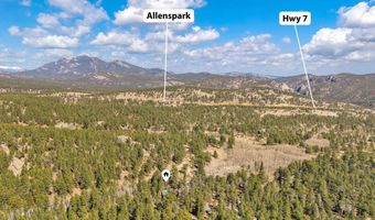 251 Haugen Slide Rd, Allenspark, CO 80510