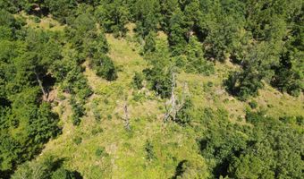 80 N4130 Rd, Antlers, OK 74523
