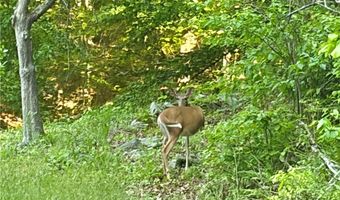 868 Bulger Rd, Alkol, WV 25501