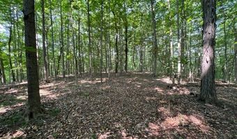 10 97 AC H R Huffer Ln, Allons, TN 38541