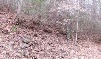 3675 Anawalt Ridge Rd, Anawalt, WV 24808