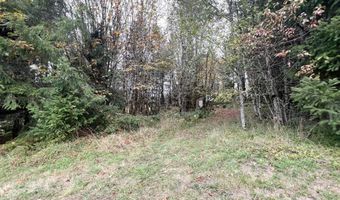 67640 NEVERSTILL Rd, Birkenfeld, OR 97016