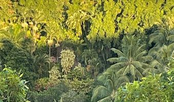 Hoolawa Road, Haiku, HI 96708