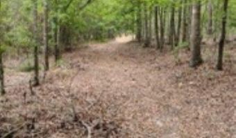 Double Pond Road, Blackville, SC 29817