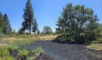 67 TIMBER Ln, Bickleton, WA 99322