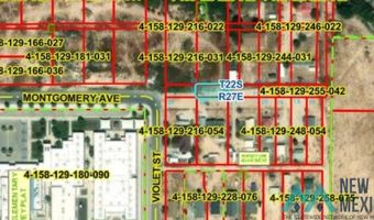 1009 E Wood Ave, Carlsbad, NM 88220