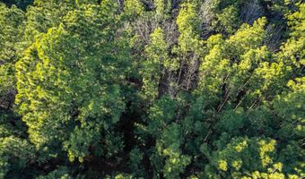 2870 County Road 2604, Alto, TX 75925