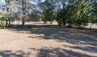 County Road 236 lot 4, Bell, FL 32619