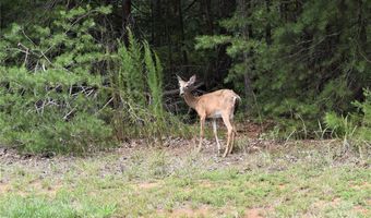 133 Badin View Dr, Badin Lake, NC 28127