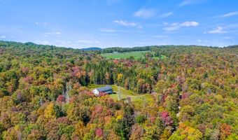 1724 Calhoun Hill Rd, Andes, NY 13731