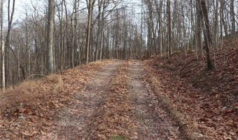 Route 12 Road, Alum Creek, WV 25003