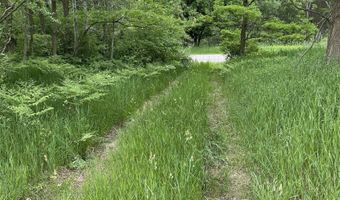 Parcel A Cemetery Road, Alden, MI 49612