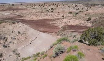 210-06 005 & 206-51-136, Chambers, AZ 86502