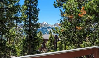 1233 Baldy Rd, Breckenridge, CO 80424
