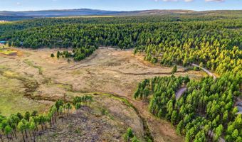 1 A FOREST ROAD 26, Alpine, AZ 85920