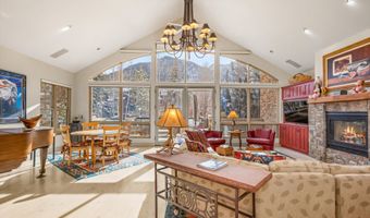 990 E Hopkins Ave, Aspen, CO 81611