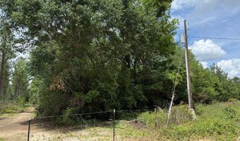 64 47 Ac Old Faceville Rd, Bainbridge, GA 39819