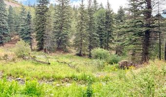 22954 Mt. Elbert Dr, Aguilar, CO 81020