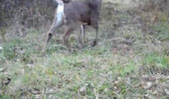 197 Th Trl, Albia, IA 52531