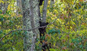8079 Wayside Creamery Rd, Alderson, WV 24910