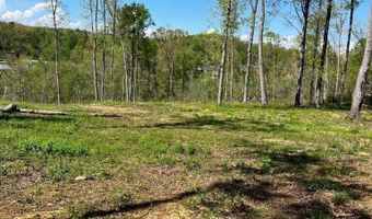 Tract 1 Mill Creek Rd, Andersonville, TN 37705