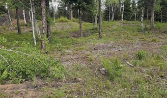 23 Sawtooth Loop, Cascade, ID 83611