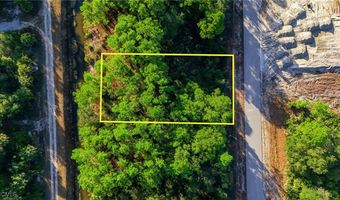 2428 Mabry St, Alva, FL 33920