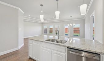 1033 Nighthawk Trl, Alvarado, TX 76009