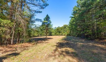 42 County Highway 79, Bear Creek, AL 35581