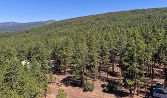 79 Spruce Way, Bayfield, CO 81122