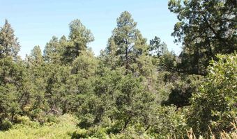 140 Jackalope Dr, Bayfield, CO 81122
